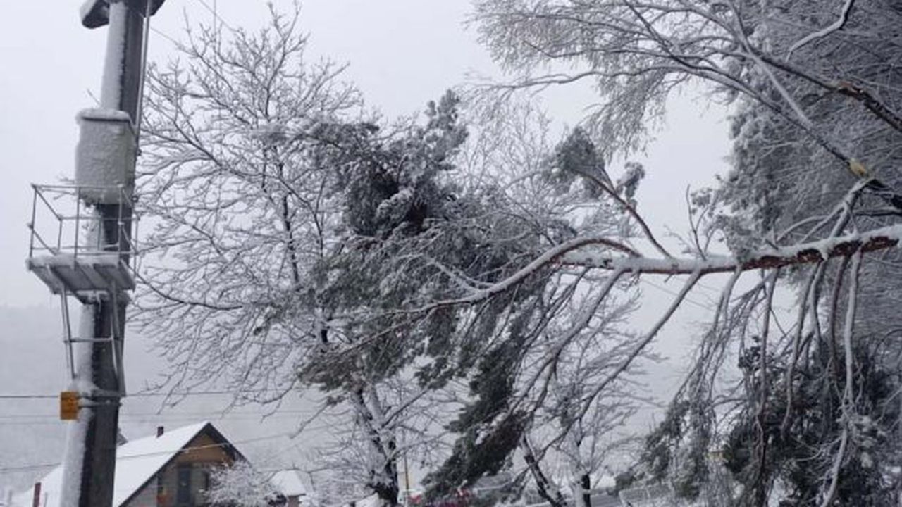 iarna distributie 2_edited