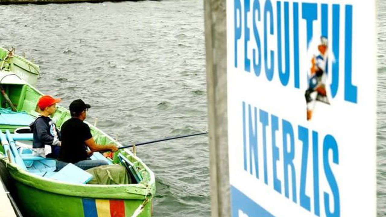 pescuit 76458948578567