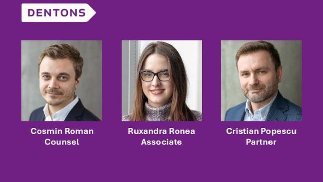 Cosmin Roman Ruxandra Ronea and Cristian Popescu