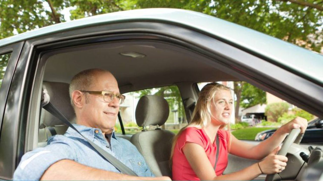 șoferi - permis de conducere