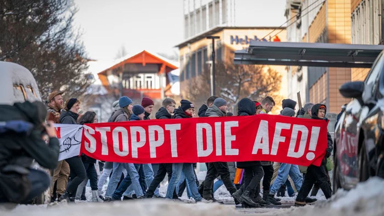 protest afd germania
