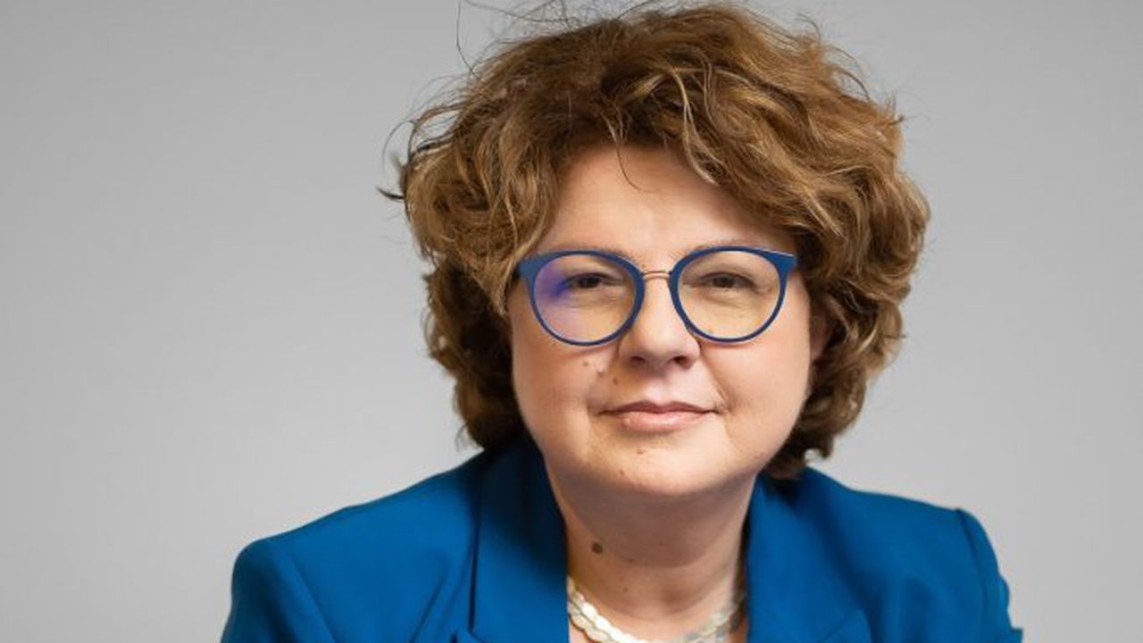 Corina Vasile - Executive Director, ANIS