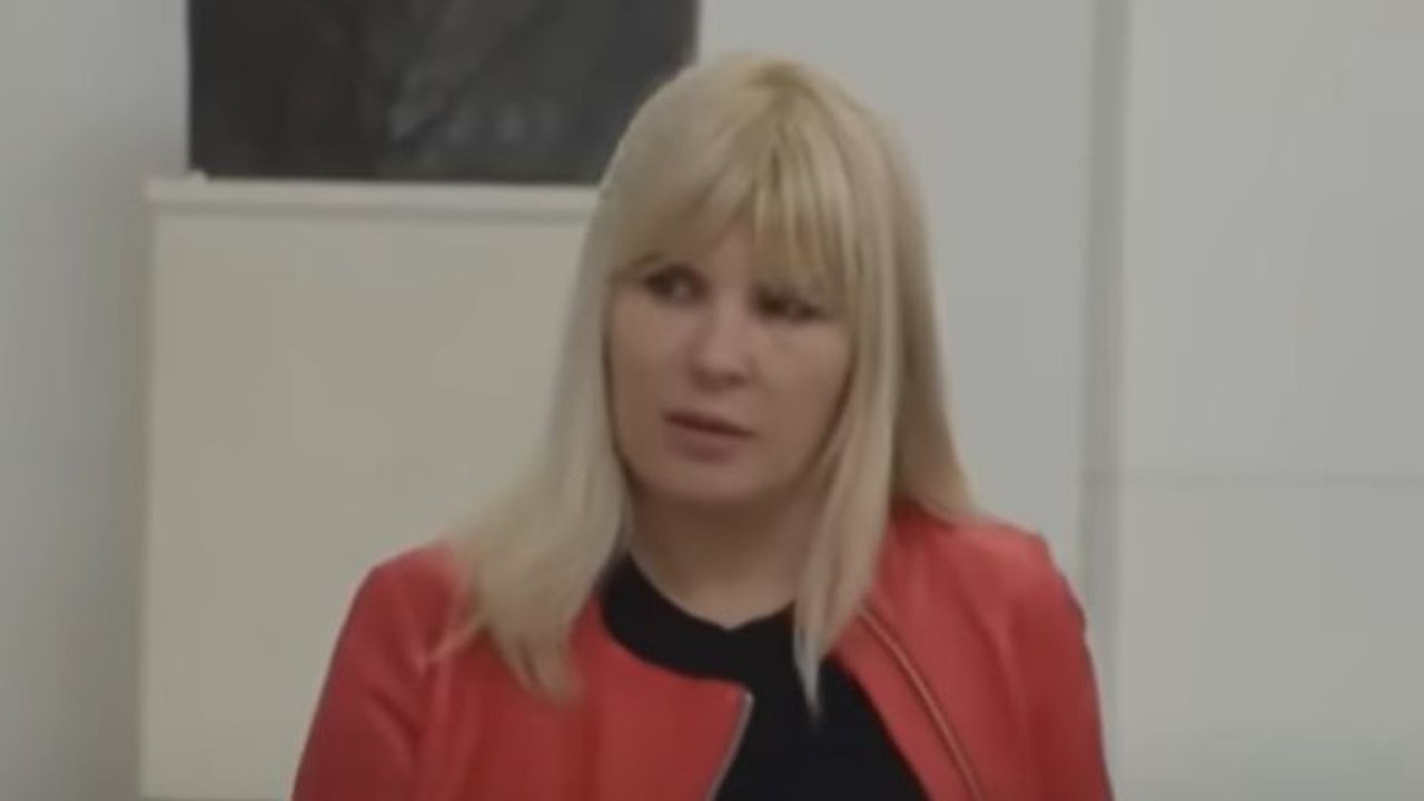 elena udrea