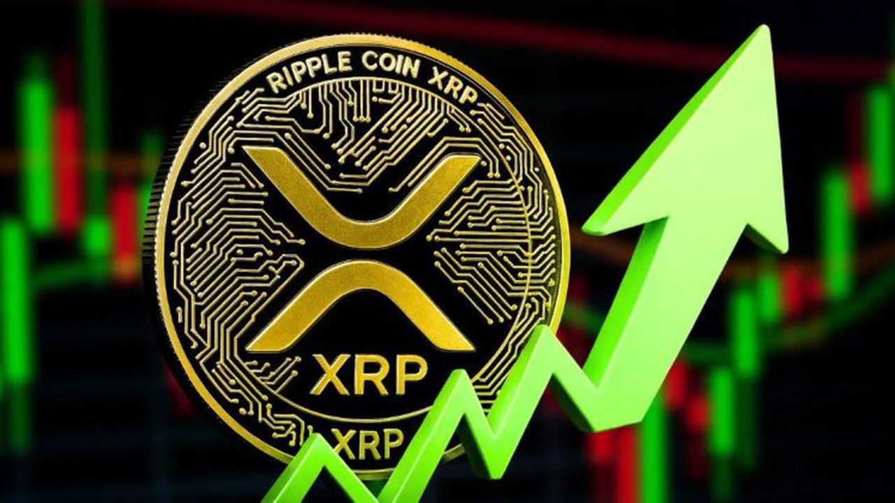 xrp crypto 546657