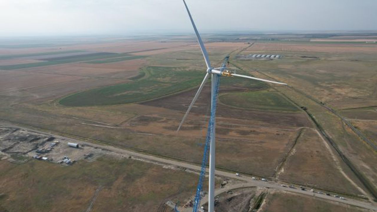 foto VIFOR 31 iulie 2025