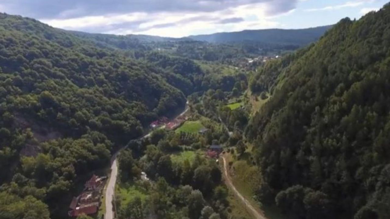 drumul lovistei 53465