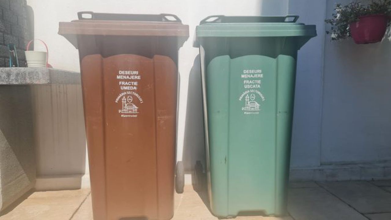 gunoi tomberon sector 1