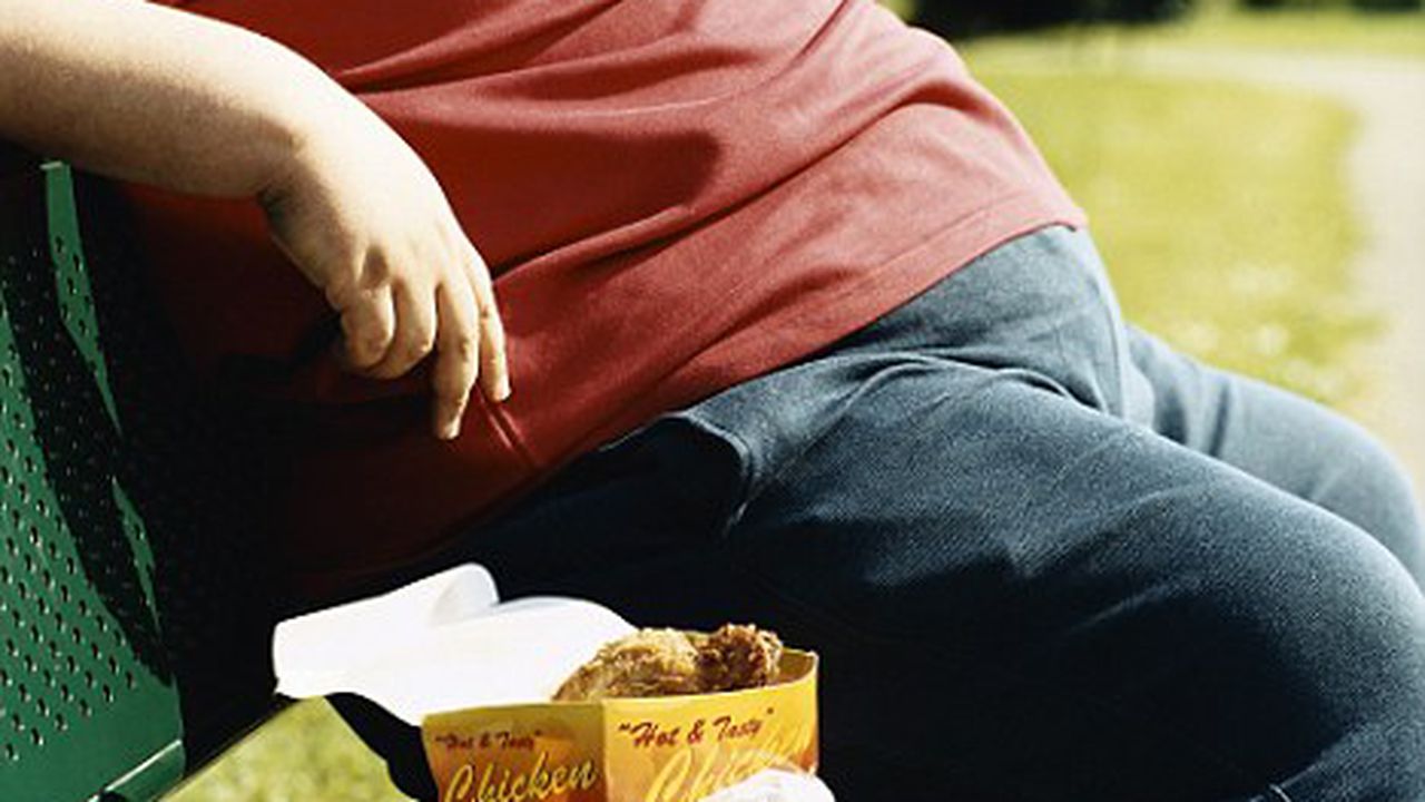 Mid-Section of an Overweight Man Sitting on a Park Bench With Take-Away Food