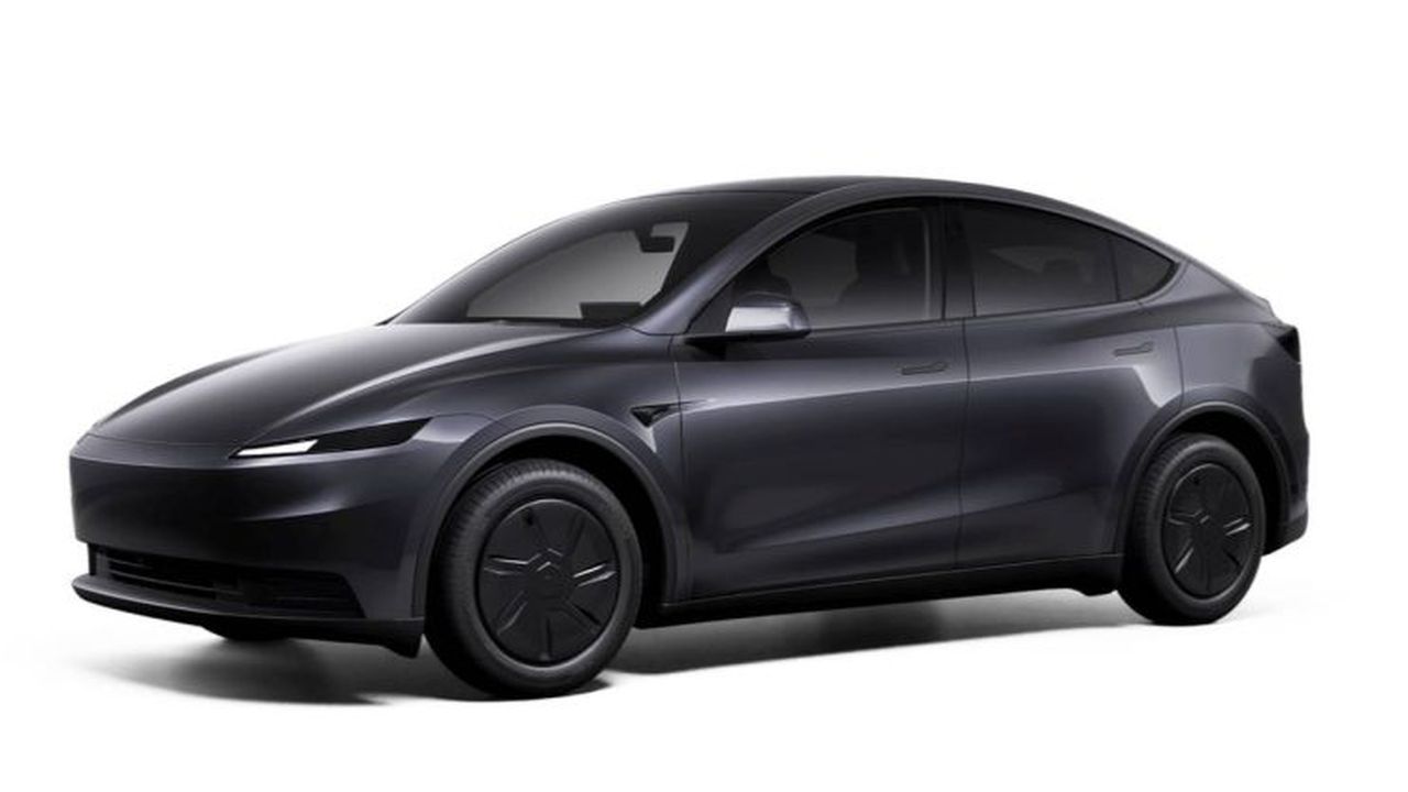 Tesla Model Y Standard