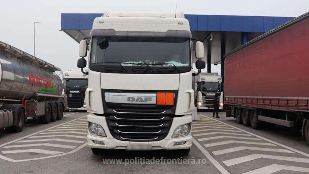 1763194921267-whatsappimage20251115at1013273-S4