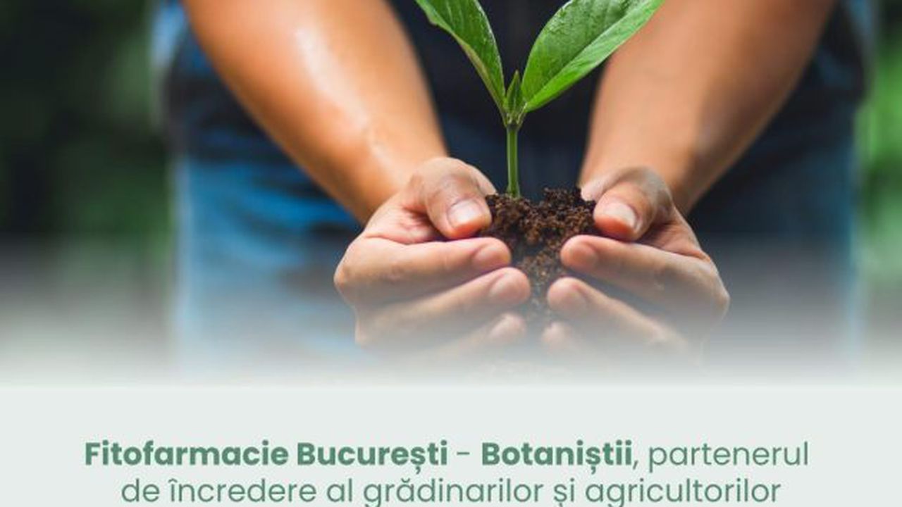 fitofarmacie bucuresti botanistii 43576