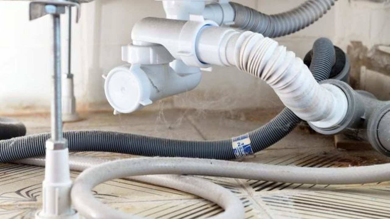 sifoane de cada 3546