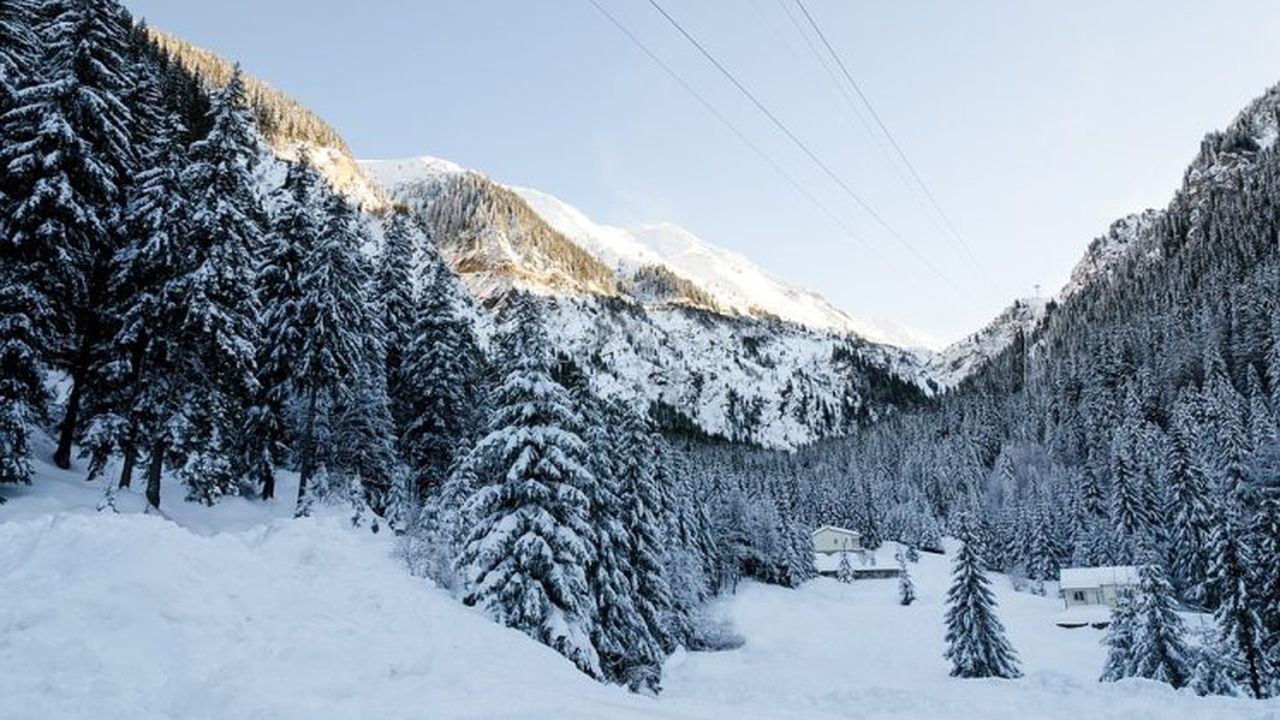 zapada_la_munte_37424800_29062400