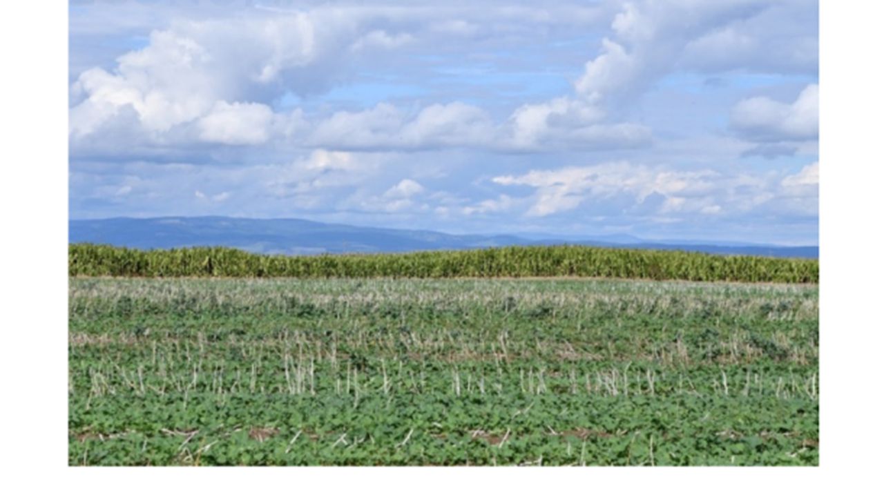 autostrada brasov fagaras