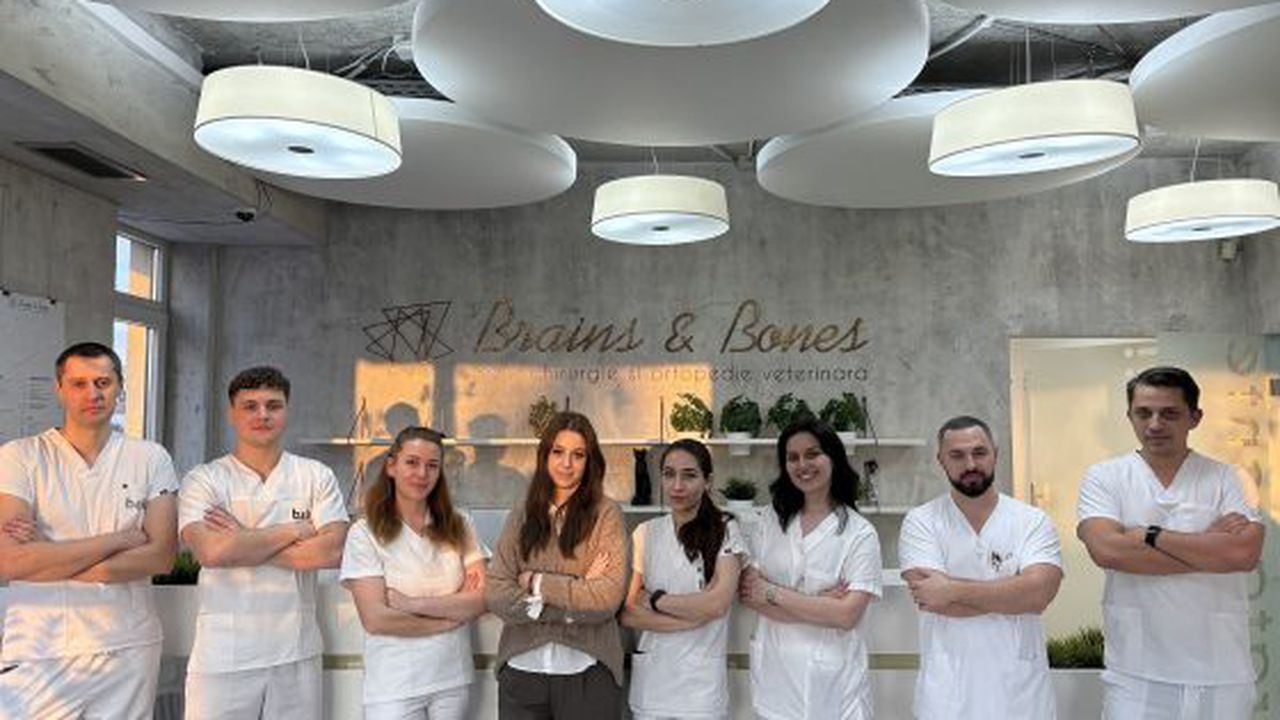 Echipa Brains & Bones