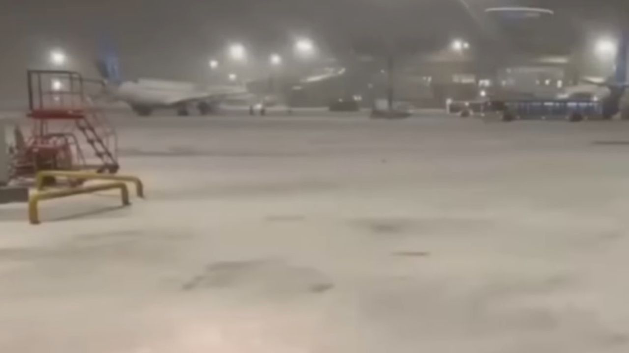 Sheremetyevo Airport