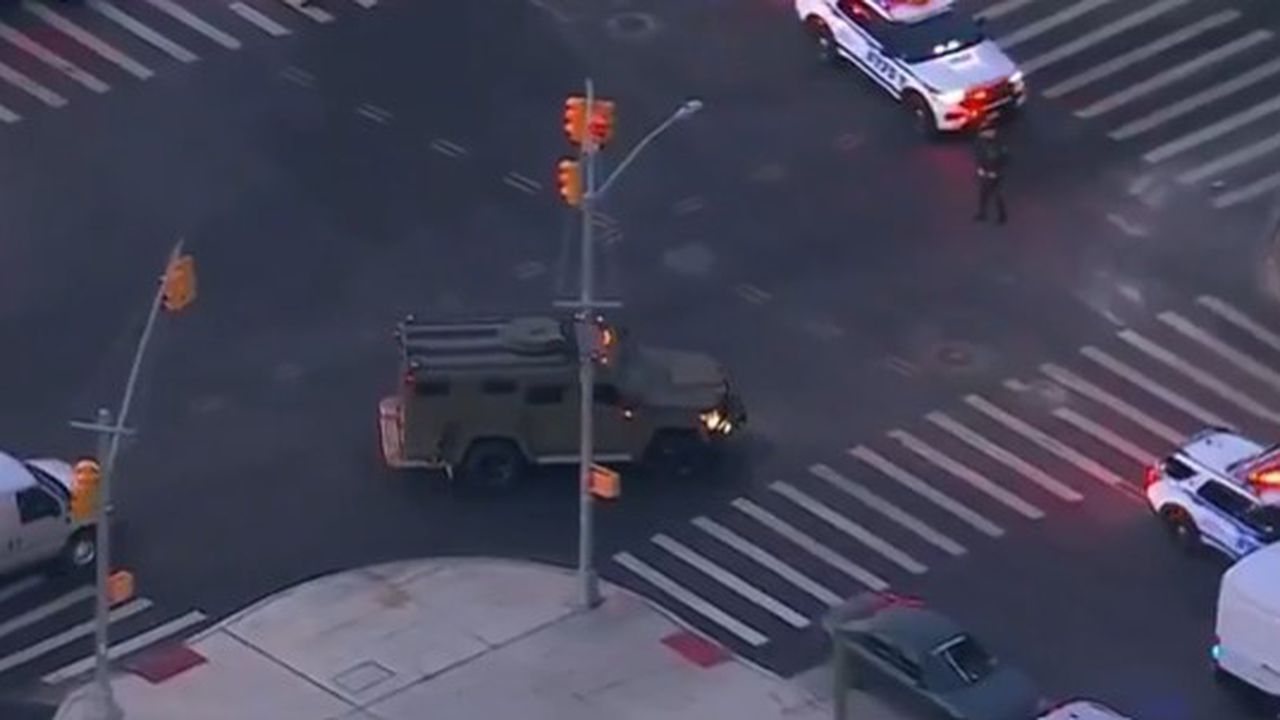 maduro new york 67865