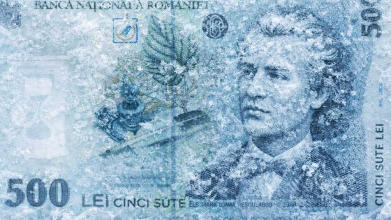 500 de lei 42365
