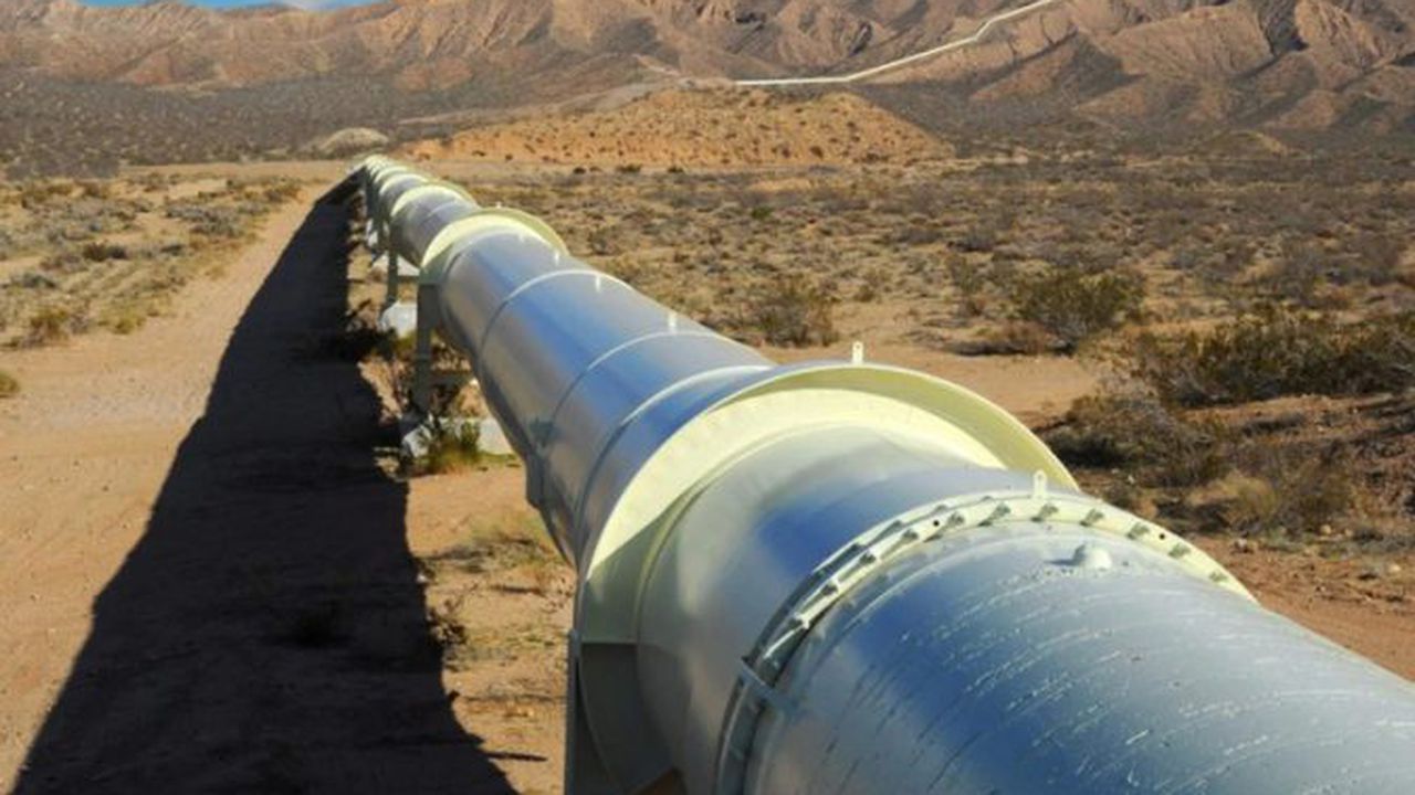 conducta africa gaze