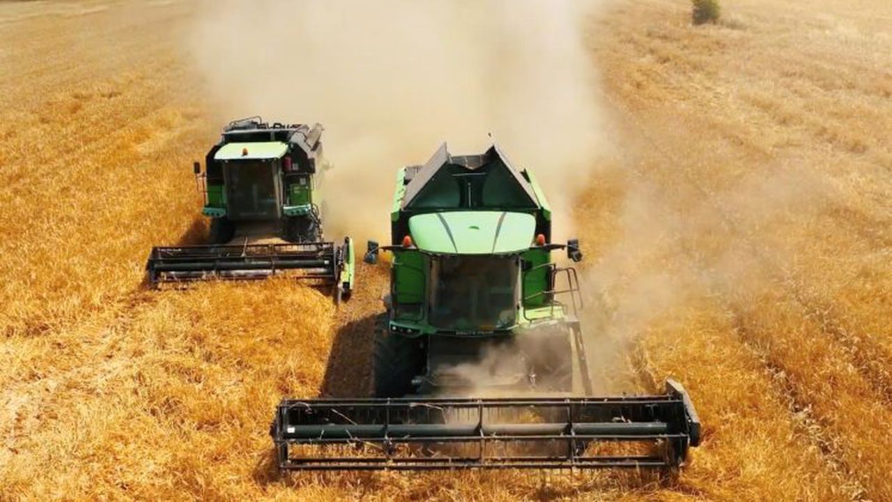 foto Norofert recoltare productie orz