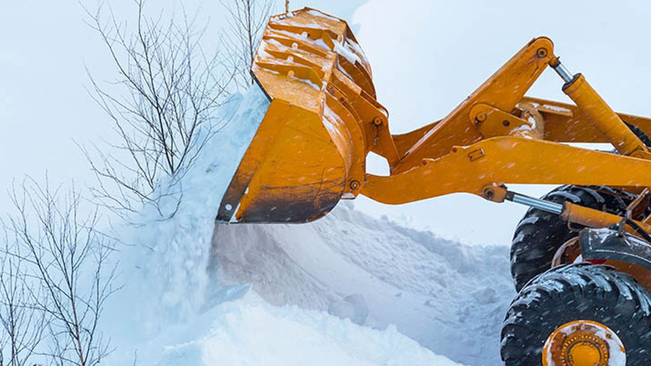 Excavator breaks young trees during harvesting snowdrifts