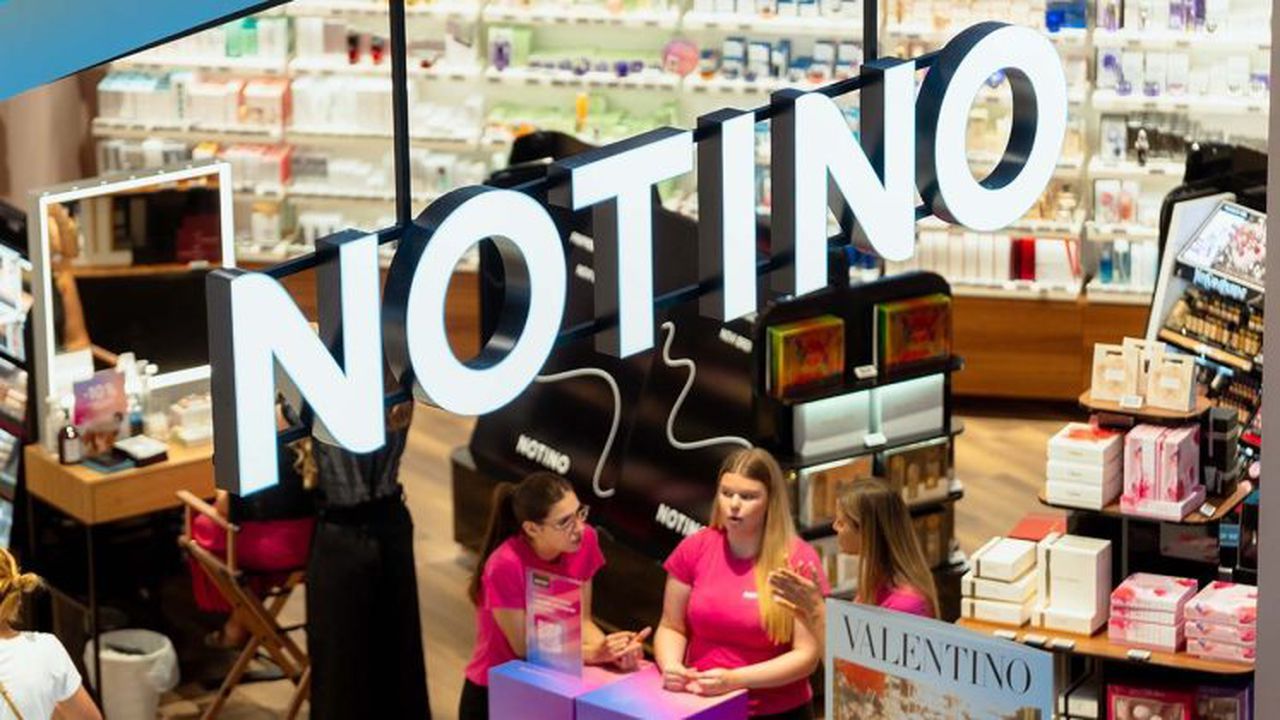 Notino (3)