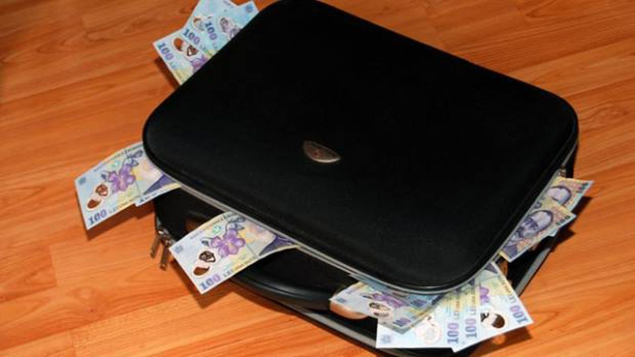 bani 5573239456 servieta borseta