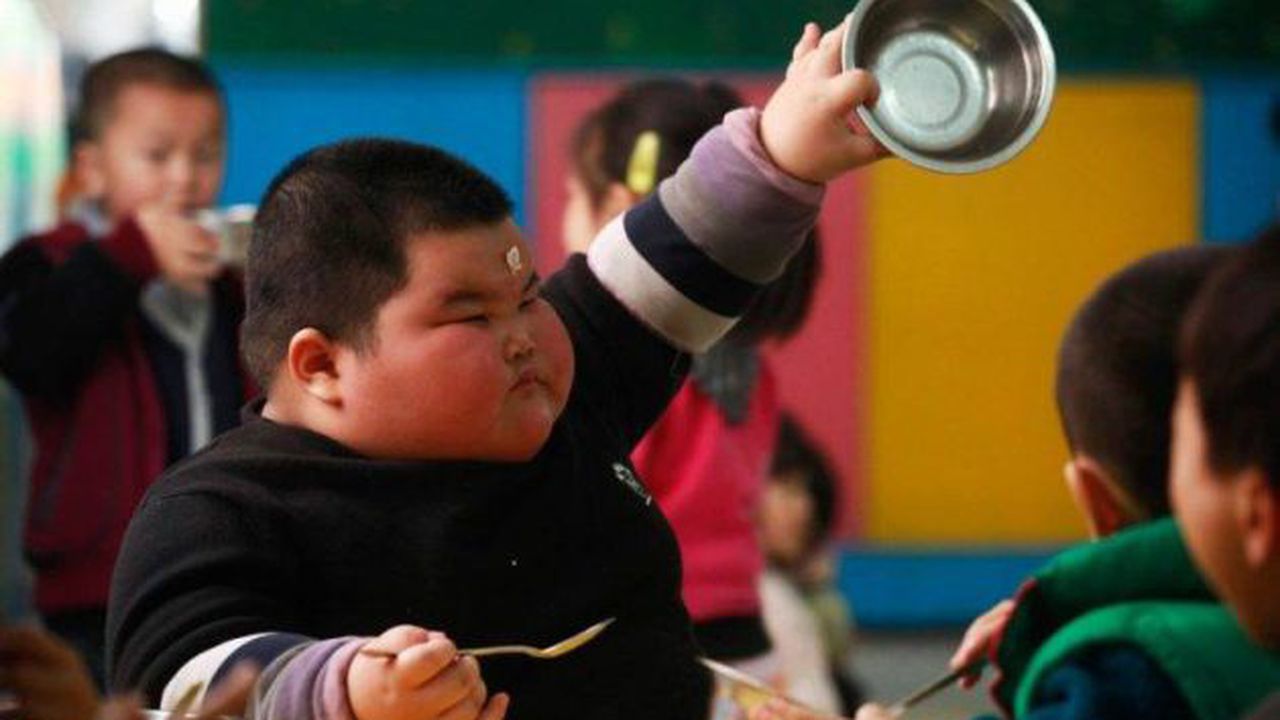 china copil lacomie foame 543657