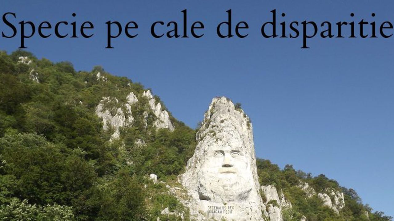 romania dunare cazane statuie decebal 09876543