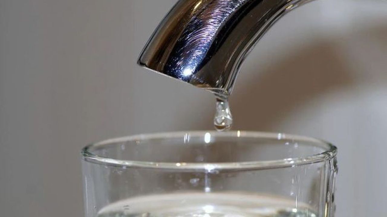 APA ROBINET 5346568798879