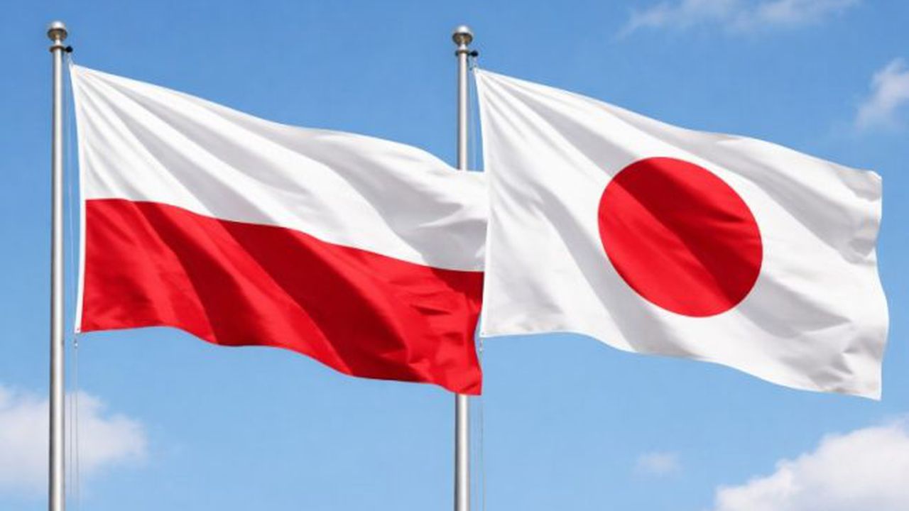 polonia japonia 5346576