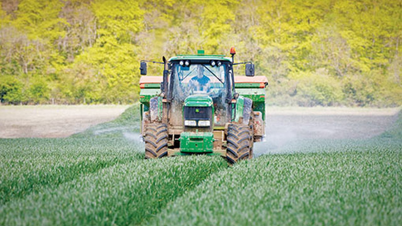 ingrasamant azot agricultura
