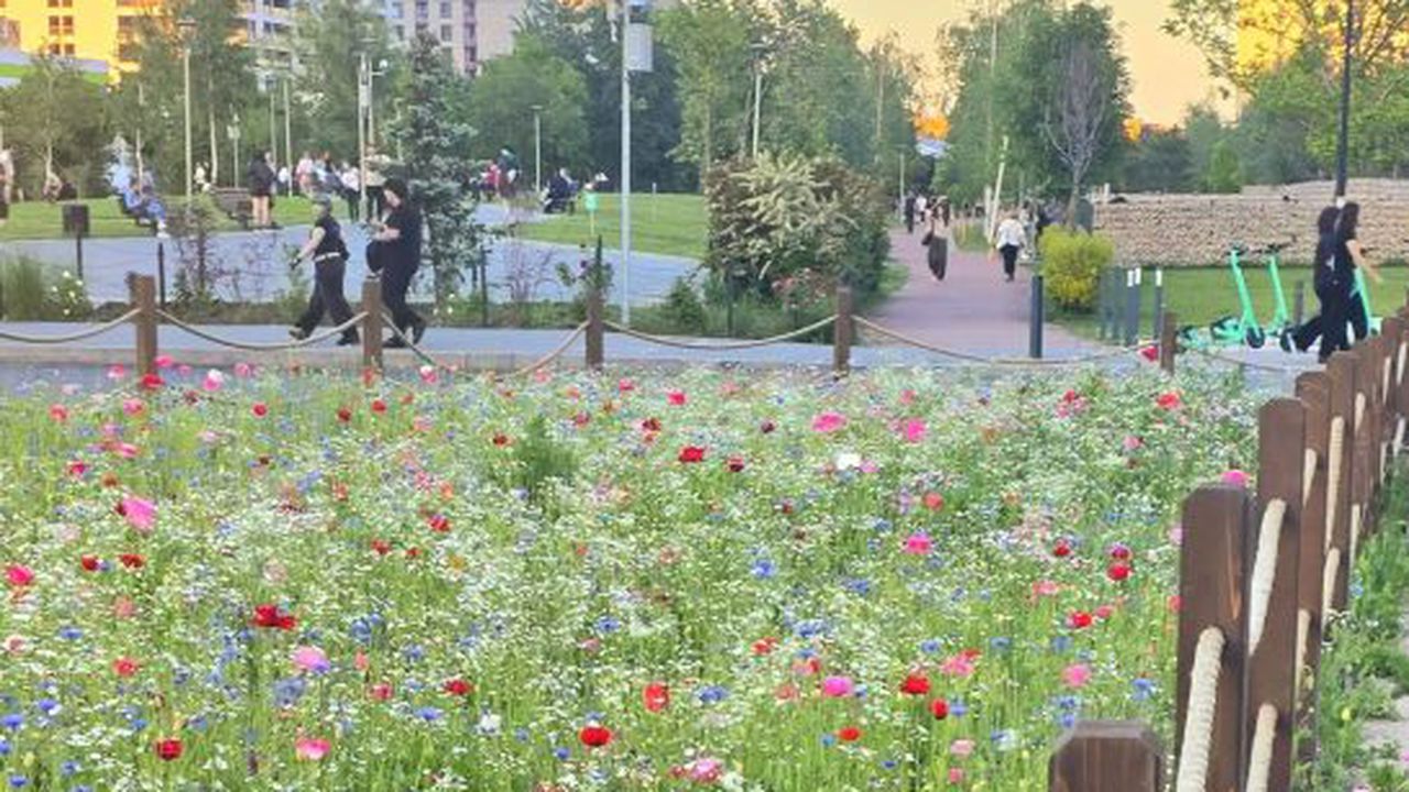 parcul liniei militari sector 6 53456