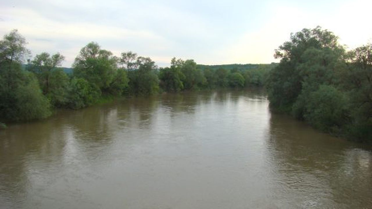 RO_SJ_Raul_Somes_la_Letca_(2)