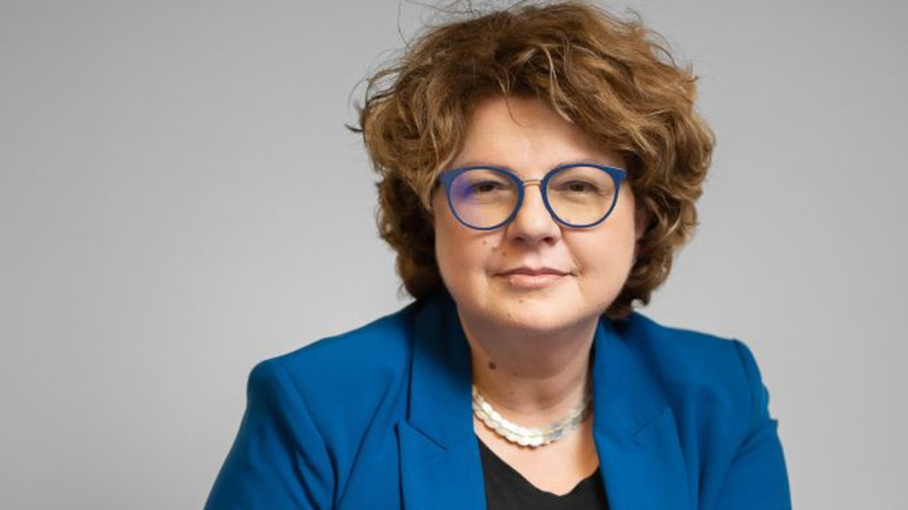 corina vasile anis