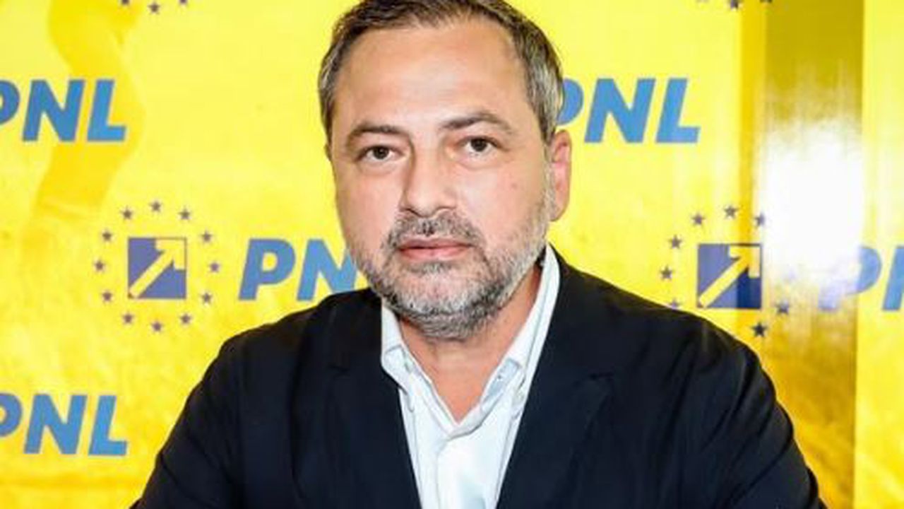 dan motreanu