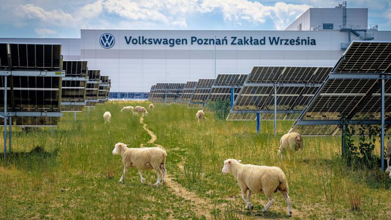 Volkswagen_PV_QuantaEnergy_fot. Rafal_Pijanski (7)