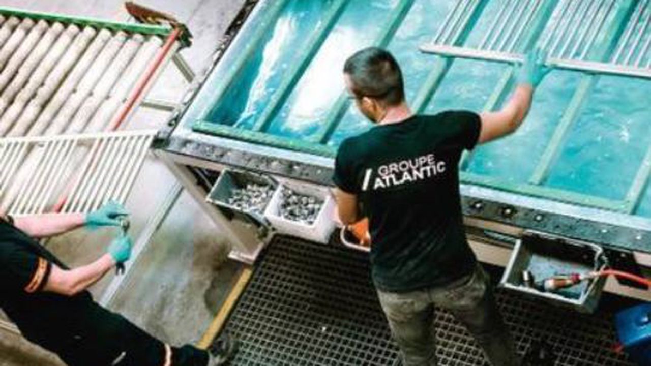 groupe atlantic fabrica