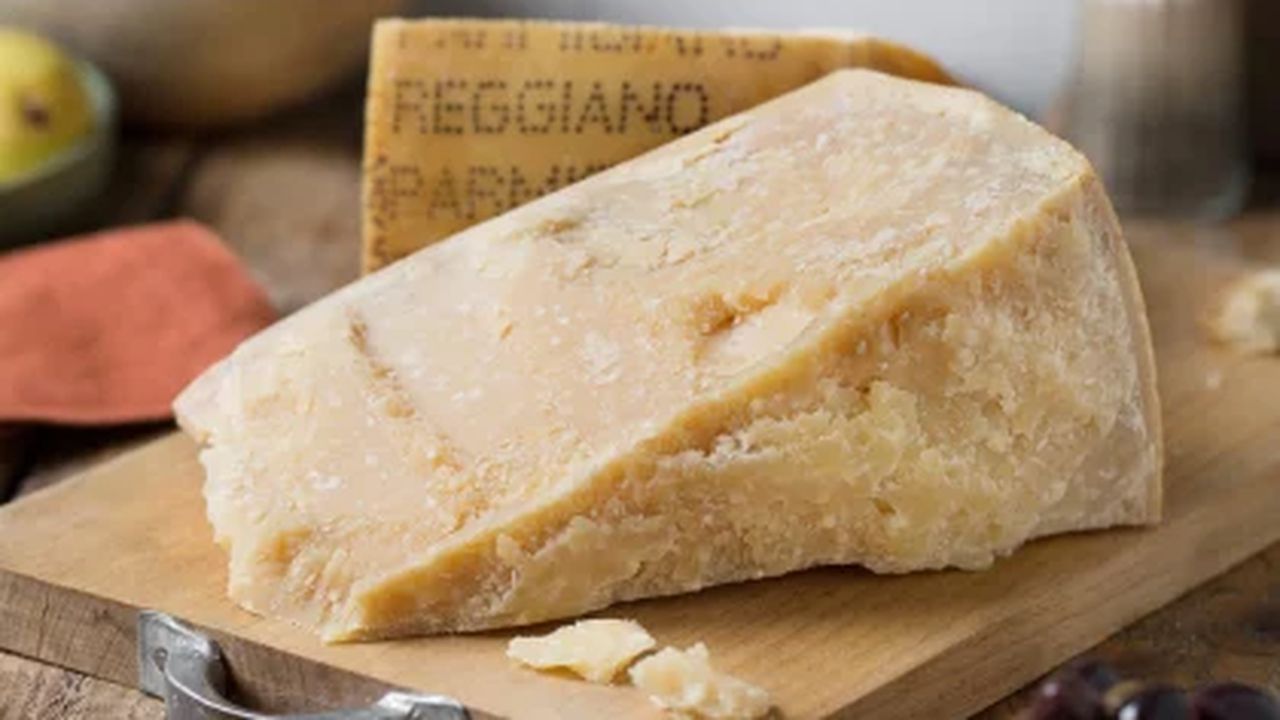 parmezan 534657