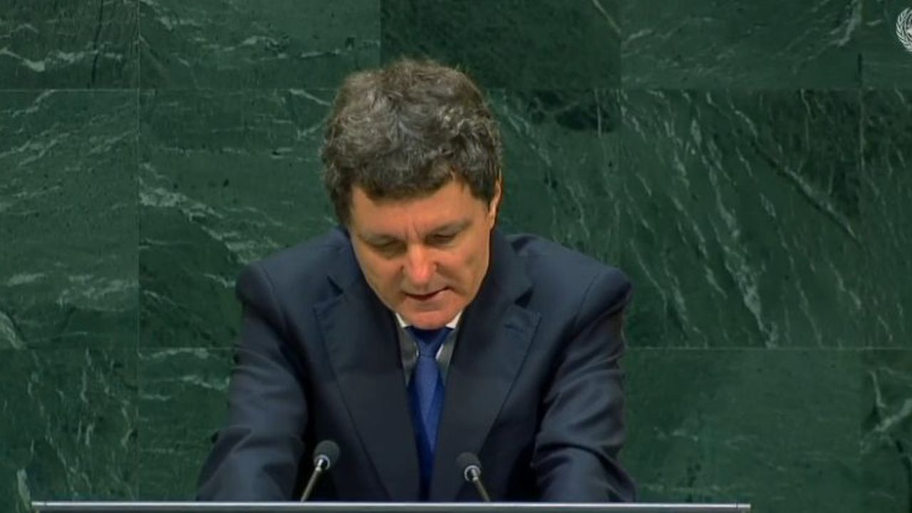 Nicusor Dan la ONU 2