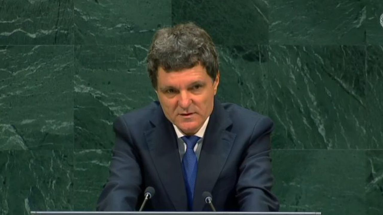Nicusor Dan la ONU