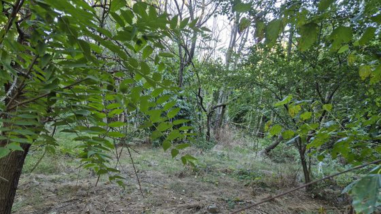 parc sere6