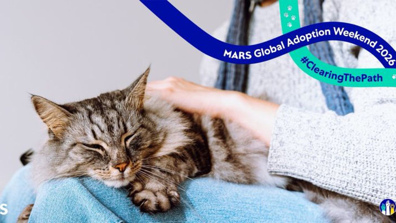 Mars Global Adoption Weekend - 1