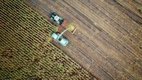 România este al patrulea contributor la producția de reziduuri agricole din UE. Ce se face cu ele