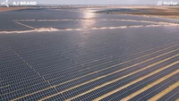 VIDEO Cum avansează lucrările la unul dintre cele mai mari parcuri fotovoltaice care se construiesc acum în România, aproape de București