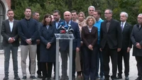 PNL a decis să voteze în favoarea Guvernului Luca Niculescu