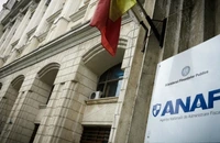 ANAF vinde la licitaţie bunuri imobile ale Elenei Udrea la un preţ de pornire de 1,1 milioane lei