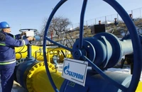 Bulgargaz vrea să dea în judecată Gazprom pentru sistarea livrărilor în urmă cu doi ani