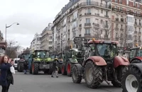Parisul ia noi măsuri în favoarea fermierilor pentru a încheia criza apărută la începutul anului, care a dus la proteste masive
