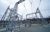 Sucursala Baia Mare a companiei Distribuție Energie Electrică România (DEER) a realizat anul trecut investiții de peste 40 de milioane de lei în modernizarea rețelei